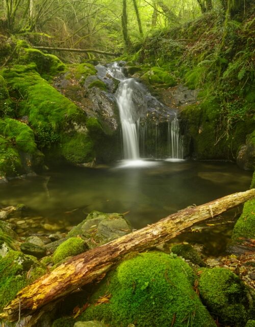 Sequeiros River Waterfall